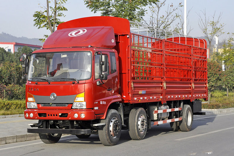Dongfeng Jiayun porteur à ridelles 6x2 210 ch