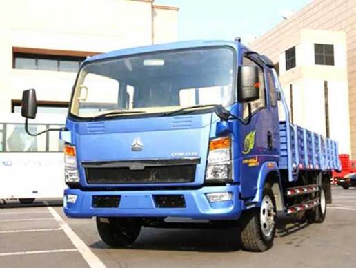 Sinotruk Howo porteur 4x2 10 t 116 ch
